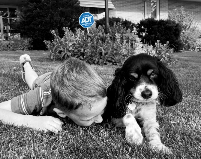 Child on the grass with his dog Child on the grass with his dog