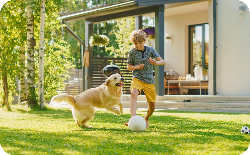 Child playing with a dog in a sunny backyard